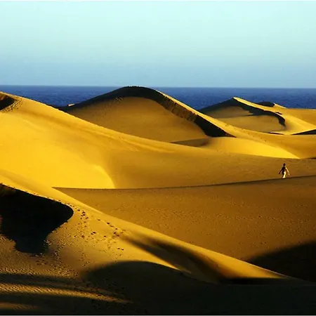 Céntrico 201 Appartamento Maspalomas (Gran Canaria)
